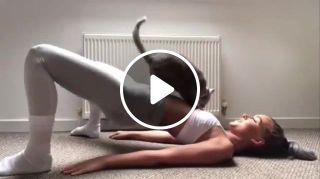 Home workout with cat