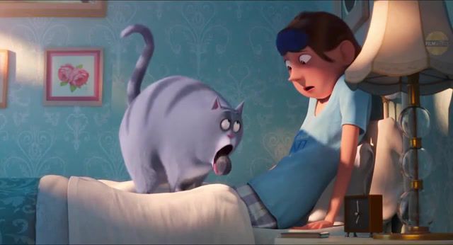 Life with a cat, trailer, movie, filmselect, the secret life of pets 2 trailer, pets 2, animal, chloe, cat, animals pets.