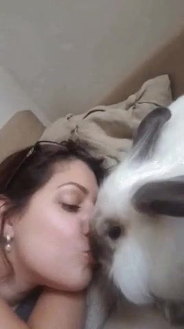 Serious relationship, Animals Pets