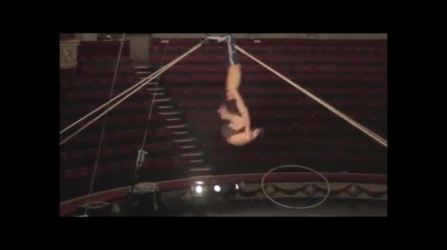 Acrobats on swings, Cool, Unreal, Circus, Sports