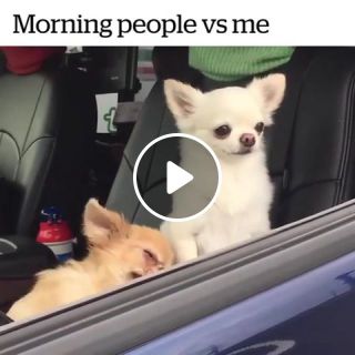 My wife vs. Me in the morning