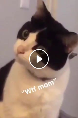 Wtf mom