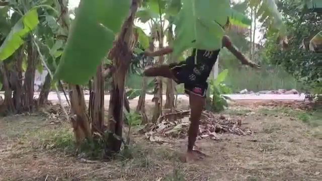 Battle cry, meksen anissa kicks down a banana tree, kick, banana tree, tree, kick boxing, muay thai, meksen anissa, sports.