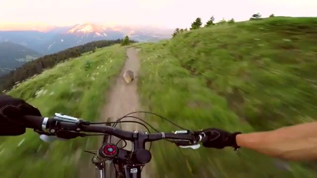 Chasing, Funny, Chasing, Red Bull, Extreme Sports, Downhill Mountain Biking, Riding, Downhill, Mountain Biking, Ride, Bike, Mountain Bike, Biking, Mtb, Sports