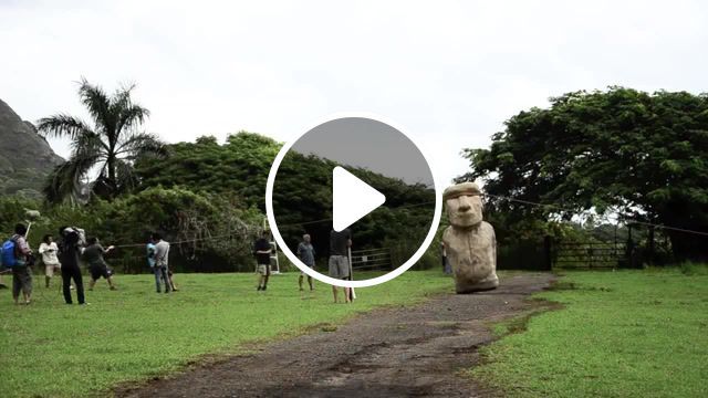 Easter island moai walked, easter island, moai, archaeology, anthropology, sports. #0
