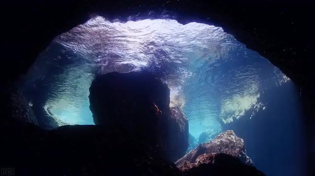 Beneath the surface deep, blue, underwaters, chill, dream, music, join, orbo, eleprimer, cinemagraph, underwater, watre, deep house, house, deep, live pictures.