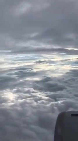 Flying between the clouds, forest swords crow official visual, clouds, plane, flying, nature travel.