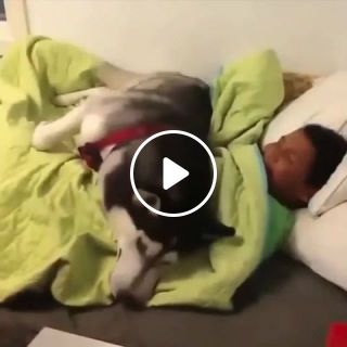 Sleep guard dog