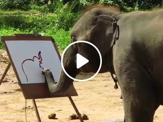 Suda The Painting Elephant