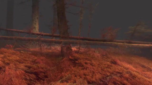 Forest in vr, the forest, game the forest ost, forest, grizedale, lidar, particles, vvvv, mlf, ecovr, vr, virtual reality, animation, 3d, cg, computer graphics, art, art design.