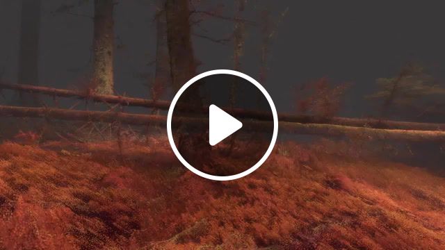 Forest in vr, the forest, game the forest ost, forest, grizedale, lidar, particles, vvvv, mlf, ecovr, vr, virtual reality, animation, 3d, cg, computer graphics, art, art design. #1