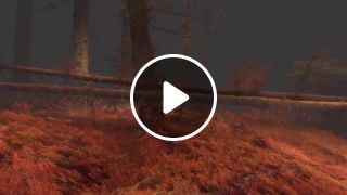 Forest in VR