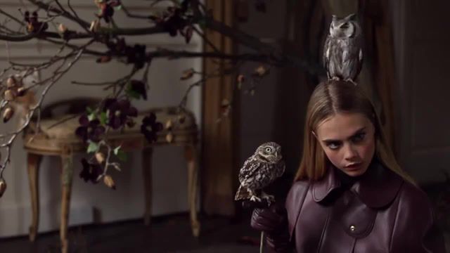 Hedwig's Theme Mulberry Cara Delevingne, Cara Delevingne, Hedwig's Theme, Fashion, Mulberry, Autumn, Winter, Owl