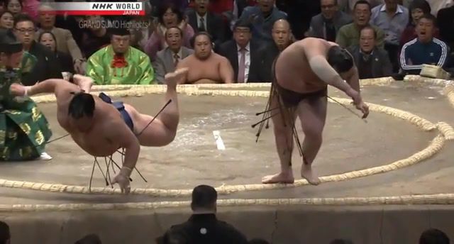 Do not touch the ground - Video & GIFs | fly,sumo,hokutofuji,hyakuho,tamimpa,sports