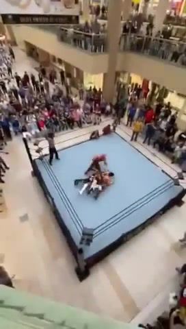 Flying wrestling
