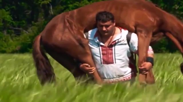 Strong man carry a horse dmitriy khaladzhi and vargan, weightlifting, lifting, unconventional, horse lifter, horse lifting, ukranian strongman, ukraine, circus performer, powerlifting, powerlifter, strongman, ukranian, ukranian powerlifter, world records, squats, feats of strength, lifts horses, horses, world's strongest man, dmitriy khaladzhi, valixt, sports.