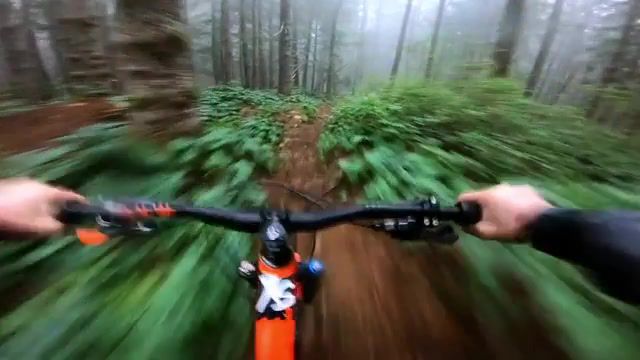 The forest and the bike, Hd Camera, Hd, Bike, Sports