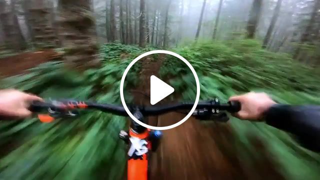 The forest and the bike, hd camera, hd, bike, sports. #0
