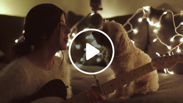 Christmas time is here, christmas, christmas music, christmastree, christmaslighs, merry christmas, dog, dogs, puppy, dog love, animals pets. #0