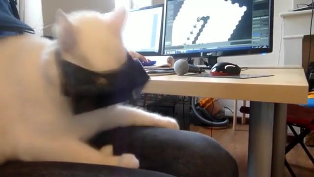 VR Cat, Vr, Anime, Neko, Cat, Animation, Vrchat, Virtual Reality, Dance, Dancing, Animals Pets