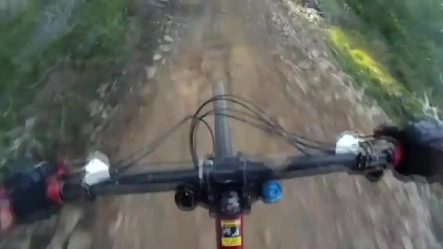 You are my prey, downhill mountain biking, hunt, beast, fast, aggresive, youtuber, prey, edit, cut, jump, air time, specialized, big hit, bike, pov, selfie stick, action cam, sport, animal, beast mode, music, chase, mtb, dh, downhill, flow, flow trail, sports.