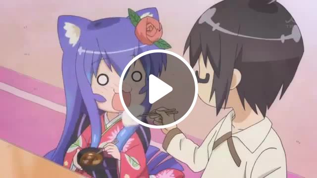 Cat love, anime, anime neko, amv, kawaii, anime kawaii. #1