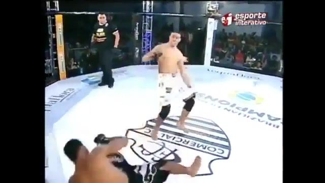 MMA cup, Sports