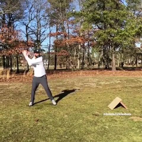 Talented bastard, golf, sports.