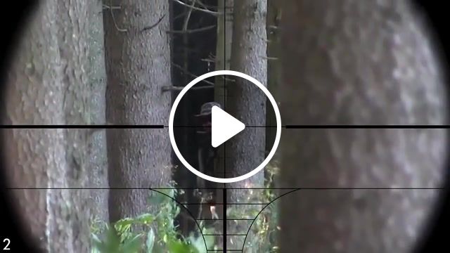 Airsoft funny moment, airsoft, airsoft funny moment, funny moment, sniper, troll, lol, sports. #1