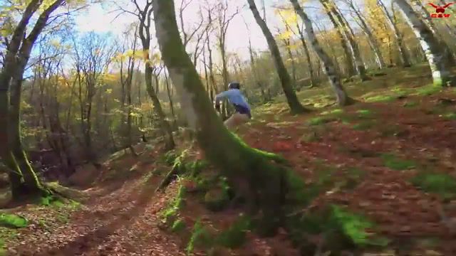 Ride in the leaves, Extreme Sports, Ride In The Leaves, Epic, Best, Drone, Fail, Freeski, Tree, Skiing, Wood, Bois, For^et, Forest, Devinsupertramp, Thovex, Candide, Chase, Pursuit, Leaves, Leaf, Feuilles, Ski, Sports