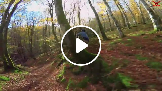 Ride in the leaves, extreme sports, ride in the leaves, epic, best, drone, fail, freeski, tree, skiing, wood, bois, for^et, forest, devinsupertramp, thovex, candide, chase, pursuit, leaves, leaf, feuilles, ski, sports. #0