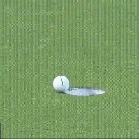 Lucky golf, lucky, sports.