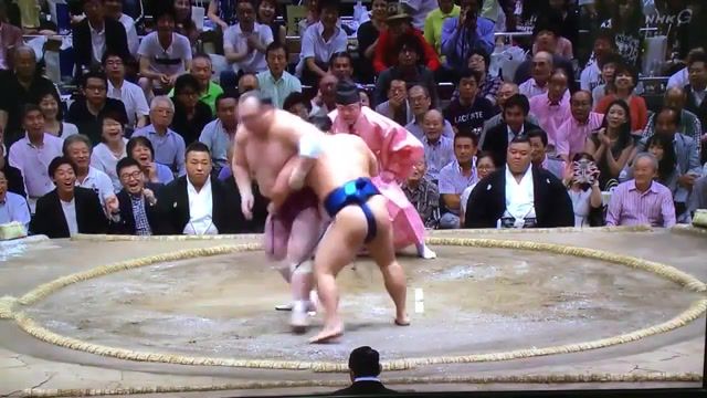 My style of fighting - Video & GIFs | september,sumo,tokyo,grand,english,jason,jasoninjapan,sports