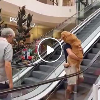 Carrying dog up escalator