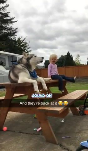 Little Girl And Dog Have Full Conversation In A Language All