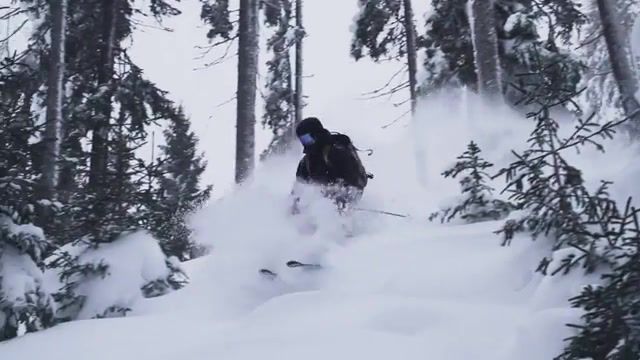 Between The Trees - Video & GIFs | skiing,austria,snow,winter,music,sport,cursed,sports
