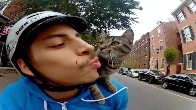 Cat Bike Guy Happy, Happy, Pharrell Williams, Philly, Pa, Philadelphia, Bike, Cat, Hero 2, Hero 3, Camera, Gopro Gopro, Animals Pets