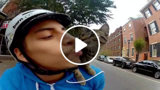 Cat Bike Guy Happy