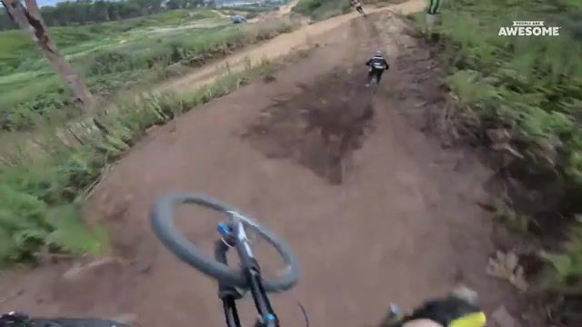 Swallow dust Downhill Mountain Bike, People Are Awesome, People Are Amazing, Top Funny, Best Compilation, Compilation, Extreme Sports, Sports Compilation, Mountain Bike, Mountain Bike Speed Run, Mountain Biking, Mountain Bike Trails, Best Mountain Biking, Mountain Biking Compilation, Gopro, Pov, Downhill, Epic Downhill, Gopro Pov, Body Mount, Sports