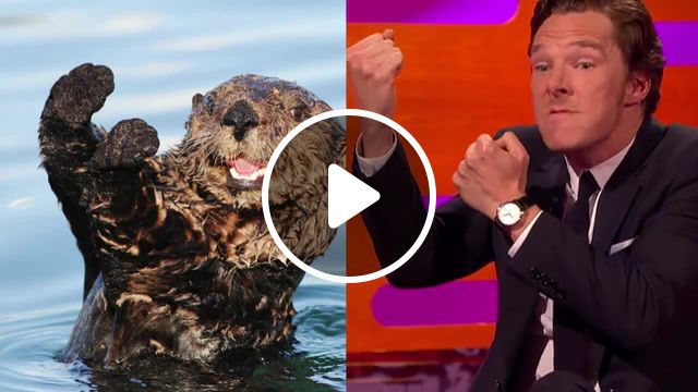 Benedict cumberbatch's casting to new season of sherlock, series 18, episode 9, black m, captain jack sparrow, pirates of the caribbean, sherlock, resemblance, looks like otter, poses, otter, teddy bear, johnny depp, benedict cumberbatch, graham norton, the graham norton show, bbc1, bbc 1, bbc one, celebrity. #0