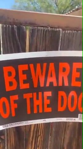Beware of the dog, who let the dogs out baha men.