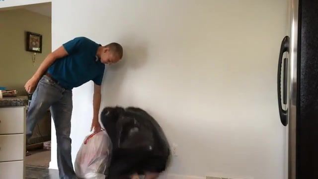 Garbage bag scare prank, nearly gave him a heart attack, Council, Taking Out The Trash, Ridiculousness, Iphone Slow Motion, Slow Mo, Iphone 5s, Scream, Sibling Rivalry, Hilarious, Heart Attack, Prank, Scare Cam, Cam, Scare, Bag, Garbage