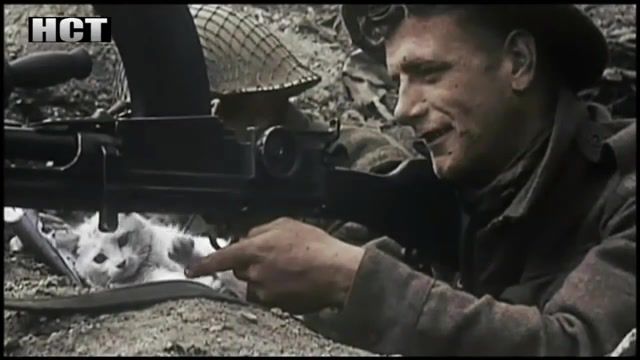 Johnny has gone for a soldier, normandy, d day, animals pets.