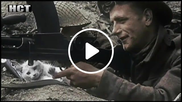 Johnny has gone for a soldier, normandy, d day, animals pets. #1