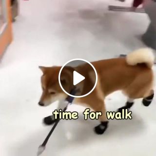 Time for walk