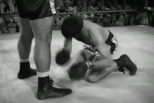 Boxing match jerry lewis from the movie Sailor Beware - Video & GIFs | boxing,match,jerry,lewis,dean,martin,movie,sailor,beware,funny,great,film,sports