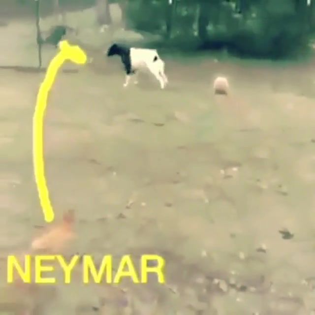 Neymar diving antics