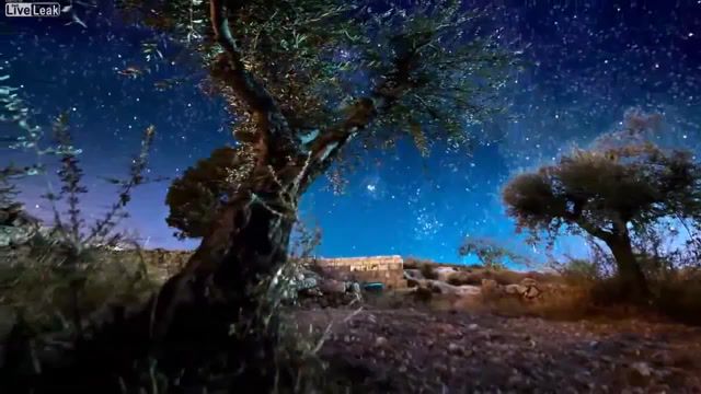 Edge Of The Milkyway timelapse, Timelapse, Space, Galaxy, Our, Way, Milky, Milkyway, The, Of, Edge, Nature Travel