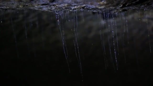 In the dark, nature, new zealand caves, bioluminescence, waitomo, north island, the great outdoors, waitomo caves, waitomo glowworm caves, time lapse, glowworm timelapse, glowworm caves, new zealand, glowworm, muonline devias theme, nature travel.