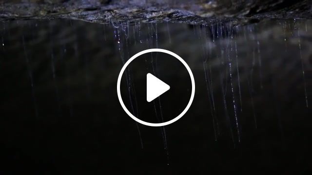 In the dark, nature, new zealand caves, bioluminescence, waitomo, north island, the great outdoors, waitomo caves, waitomo glowworm caves, time lapse, glowworm timelapse, glowworm caves, new zealand, glowworm, muonline devias theme, nature travel. #0